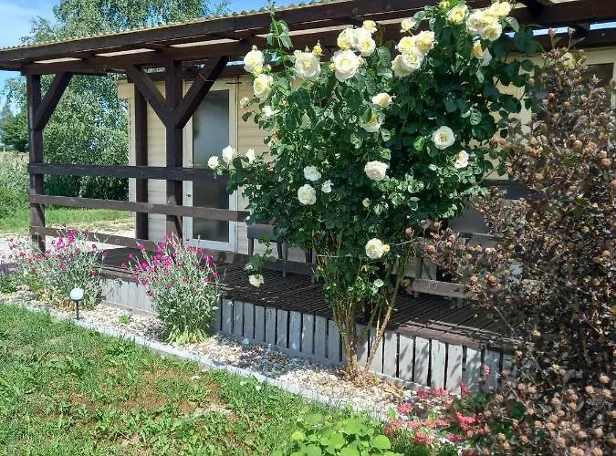 I Nad Stawem Koło Mrągowa Mrągowo